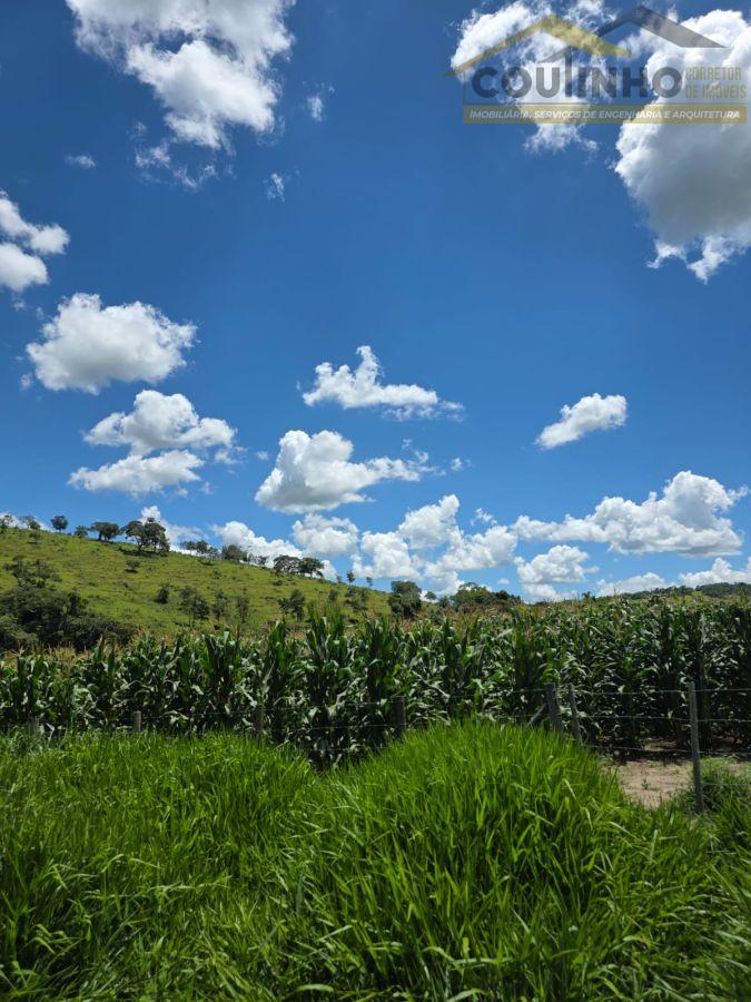 WhatsApp Image 2026-01-21 at 14.14.53.jpeg